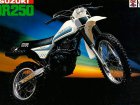 Suzuki DR 250S